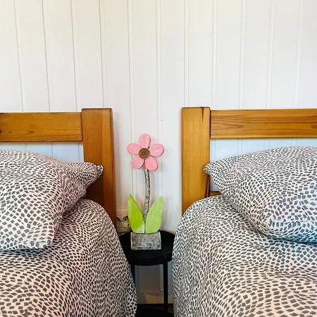 Apartma Olive, Nova Gorica, Slovenia