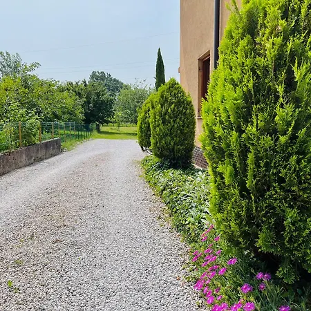 Apartma Olive, Nova Gorica, Slovenia Apartment