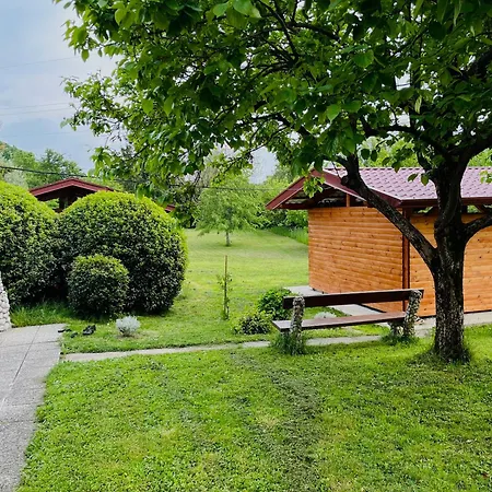 Apartma Olive, Nova Gorica, Slovenia