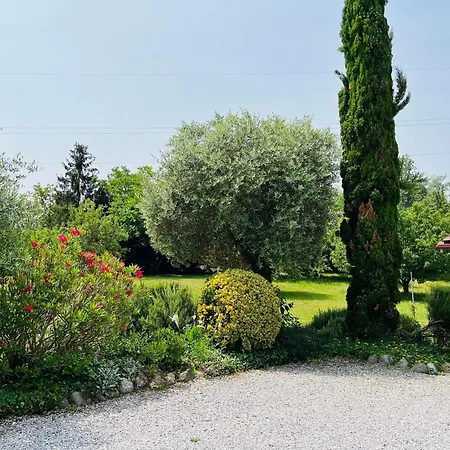 Apartma Olive, Nova Gorica, Slovenia 公寓