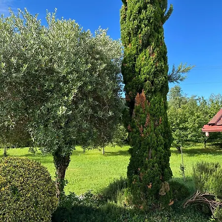 Appartement Apartma Olive, Nova Gorica, Slovenia Nova Gorica