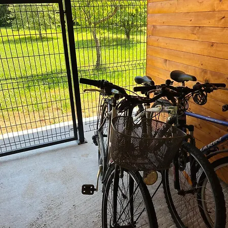 Apartma Olive, Nova Gorica, Slovenia