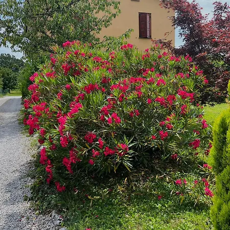 Apartma Olive, Nova Gorica, Slovenia Apartment