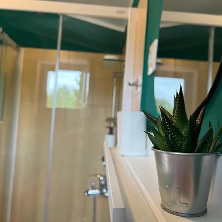 Apartma Olive, Nova Gorica, Slovenia Apartment Nova Gorica