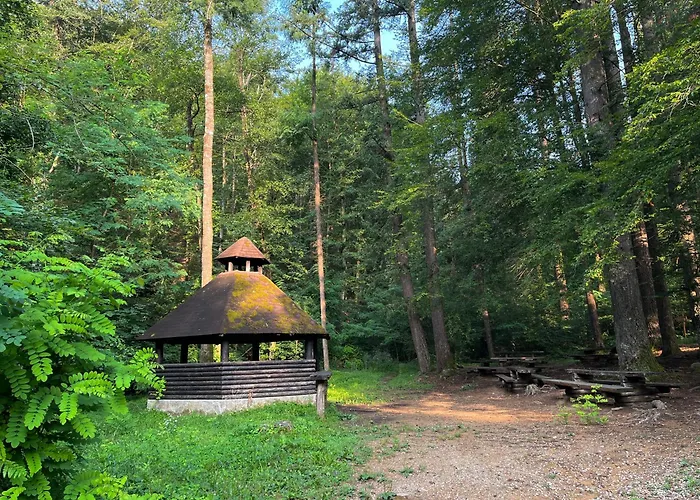 Apartma Olive, Nova Gorica, Slovenia *