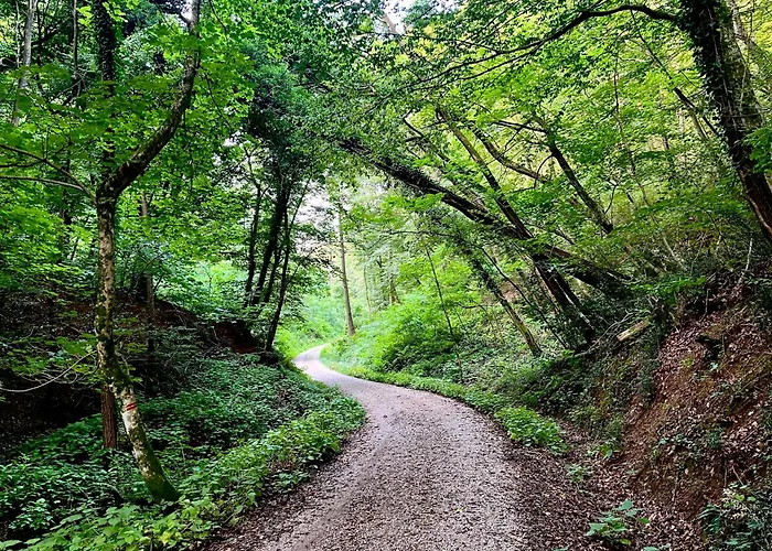 شقة Apartma Olive, Nova Gorica, Slovenia *