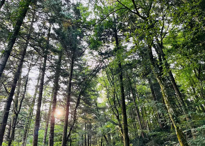 Apartma Olive, Nova Gorica, Slovenia *