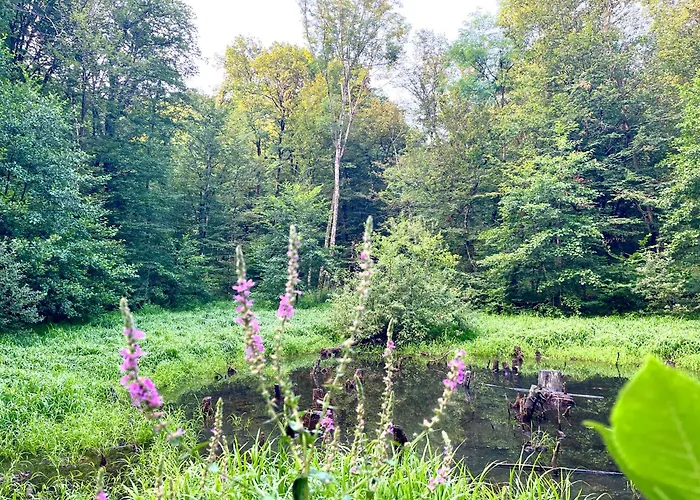 Apartma Olive, Nova Gorica, Slovenia شقة *