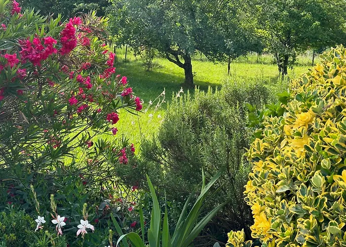 Apartma Olive, Nova Gorica, Slovenia *