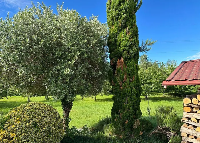 شقة Apartma Olive, Nova Gorica, Slovenia نوفا جوريكا