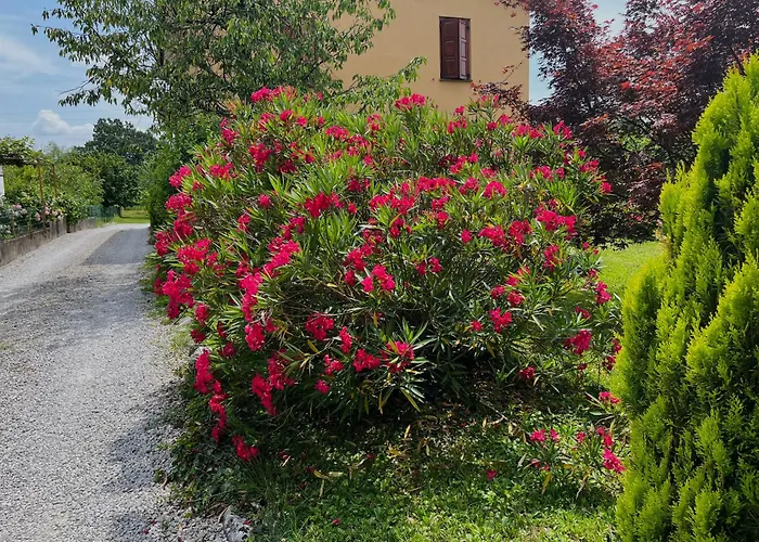 Apartma Olive, Nova Gorica, Slovenia Апартаменты